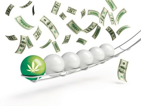 Cannabis Lottery