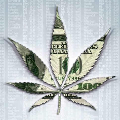 Cannabis Stocks in the Market