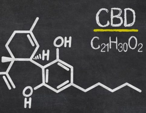 CBD Cannabidiol Formula