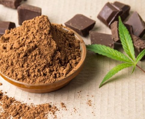 Chocolate Cannabis Flavor Edibles