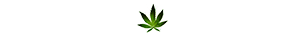Image Missing