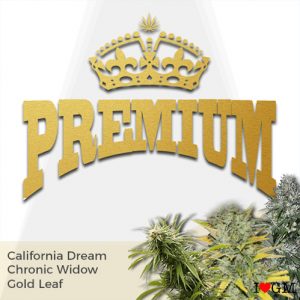 Premium Mix Pack