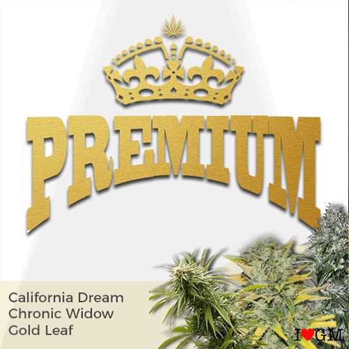 Premium Mix Pack