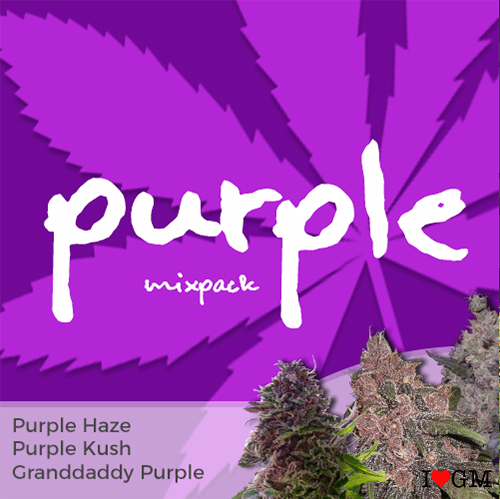 Purple Mix Pack