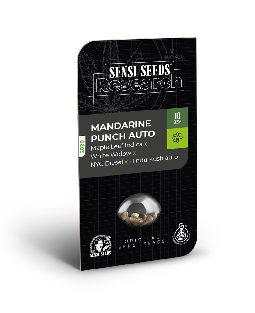 Mandarine Punch Automatic