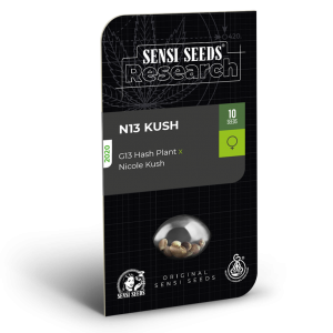 N13 Kush Feminized